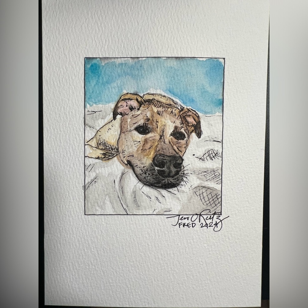 CUSTOM Watercolor and Pen Pet Portrait 5x7 - Picture 11 of 14